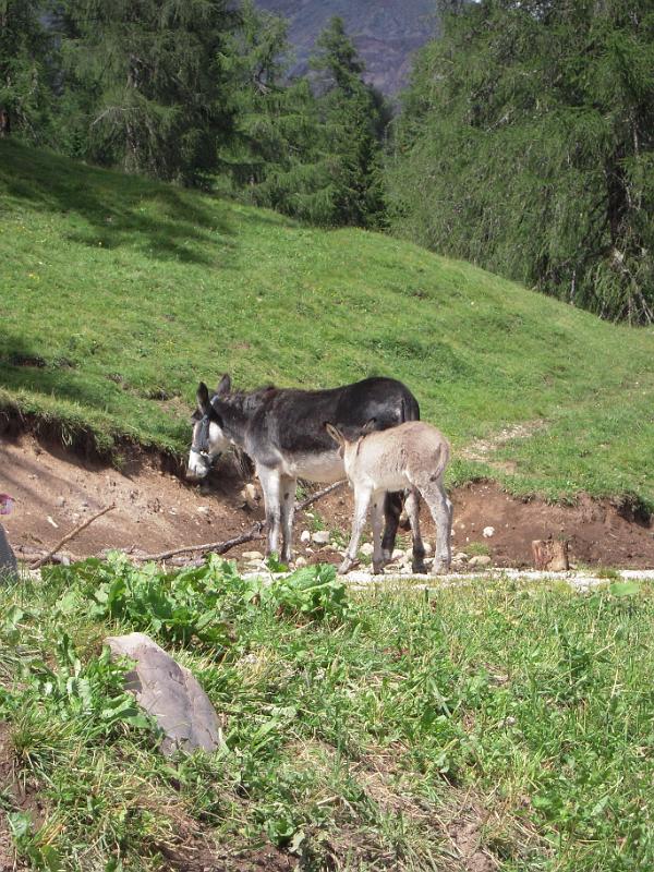 DOLOMITI2009 (21).JPG